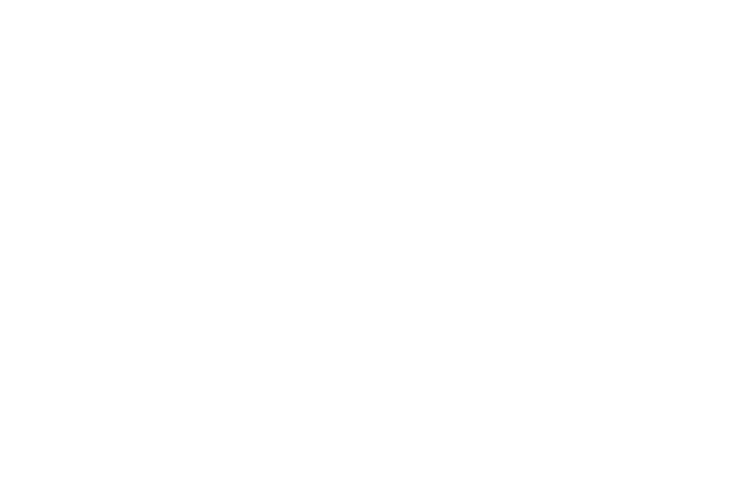 FIA Documentation Logo